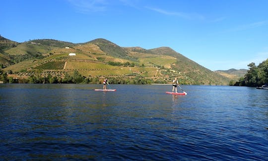 SUP Rental in Peso da Regua, Portugal