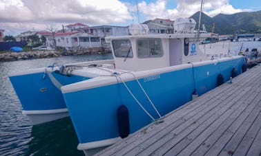 Pesca en alta mar (medio día) en San Martín a bordo de un Power Cat de 38 pies