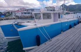 Deep Sea Fishing (Half Day) in St Maarten onboard 38ft Power Cat