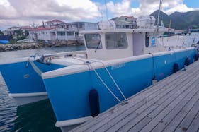Deep Sea Fishing (Half Day) in St Maarten onboard 38ft Power Cat