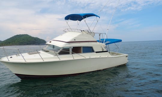Fishing Charter ' 35ft Aries in Zihuatanejo