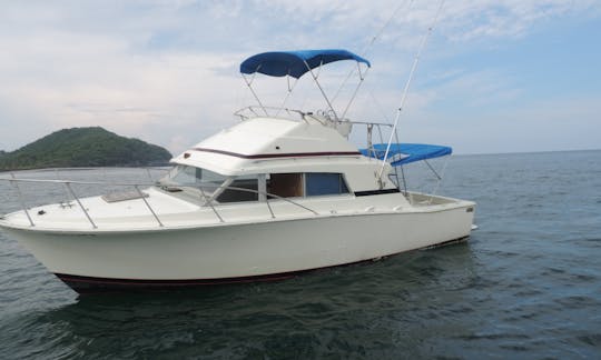 Fishing Charter ' 35ft Aries in Zihuatanejo