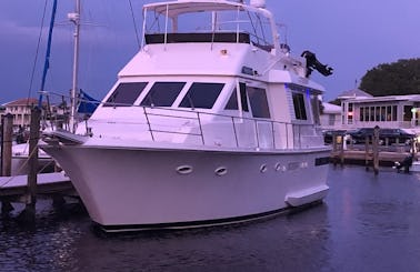 60' Viking Motor Yacht Charter in Clearwater, Florida!