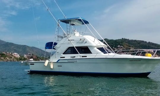 Fishing Charter on 42'ft SEADUCTION  Cruiser Yacht in Ixtapa Zihuatanejo, Mexico