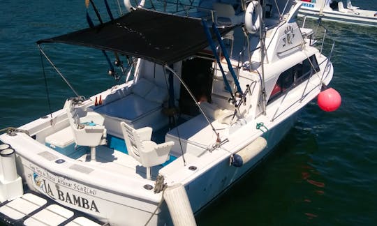 Bamba  Sportfishing Fishing, 31ft  Boat