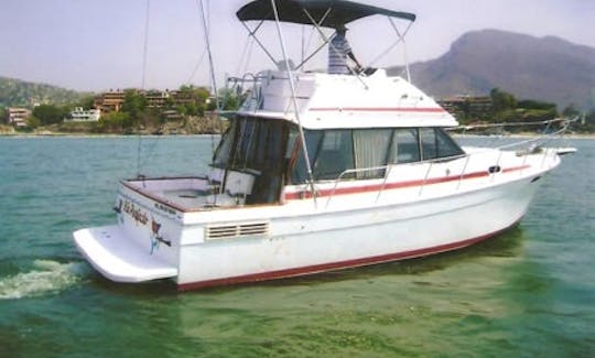 Fishing Charter on 33ft Dia Perfecto Sports Fishermans Yacht in Zihuatanejo, Guerrero