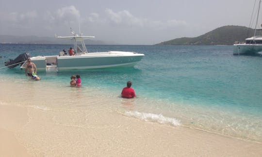 Charter the 32ft Intrepid Center Console in Cruz Bay, St. John