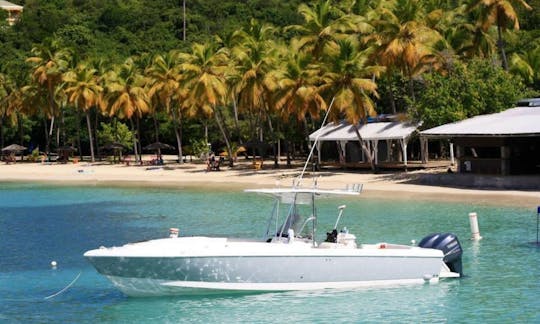 Charter the 32ft Intrepid Center Console in Cruz Bay, St. John