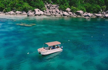 Boat Trips with VIP Service and Crew on our Luxury Catamaran at Koh Tao, Thailand