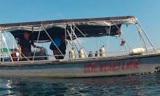 Discover the dive spots in Koh Tao , Dive Wishes and More Boat Charter