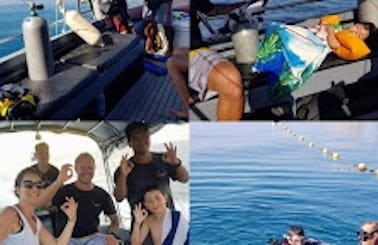 Private Boat for Diving Courses / Trips  from 1 - 14 Persons, with Multilingual Instructors and Crew on Koh Tao