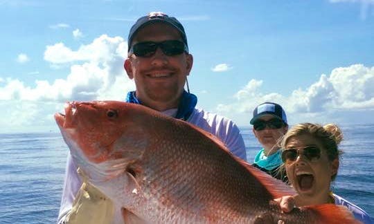 Full Day Red Snapper Fishing - Special Trip in Galveston, Texas