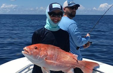 Full Day Red Snapper Fishing - Special Trip in Galveston, Texas