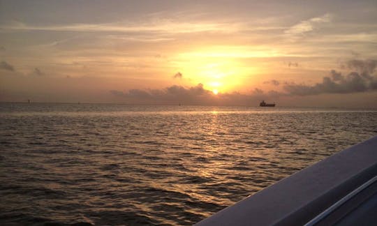 1-Hour Sunset Cruises and Dolphin Tour in Galveston