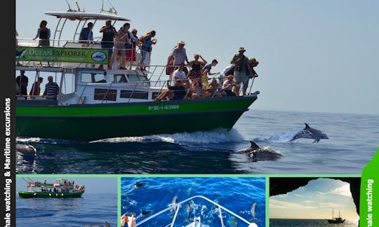 OceanExplorer La Palma Flipper