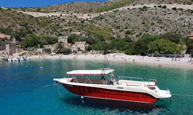 Enzo 35 Private Speedboat Tours From Hvar with 2 crew members