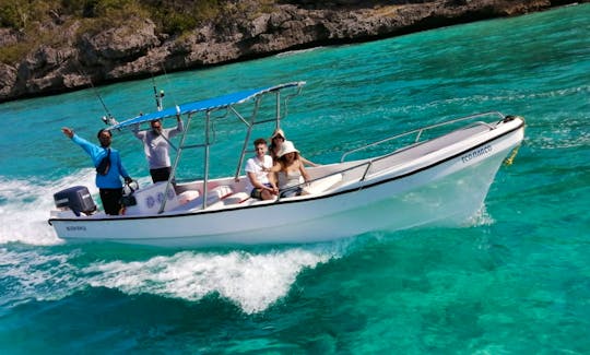 Private Boat 25' Up To 12 Person At Bayahibe Rd