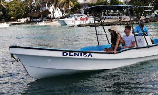 Private  Center Console boat   Saona Island Bayahibe Rd