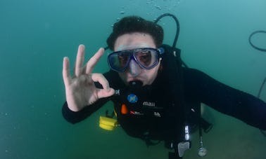 2 Hours Discovery Scuba Diving in Alagoas, Brasil!