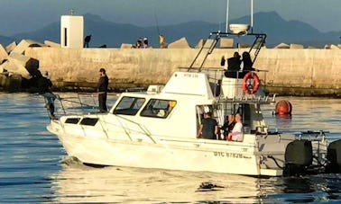 Excursion spectaculaire en bateau dans la baie d'Hermanus