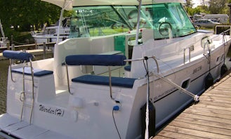 Delphia Escape 1050 Motor Yacht for 6 People from Flevostrand