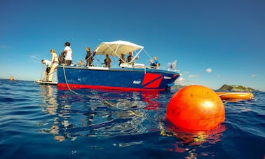 Scuba Diving in Sint Maarten