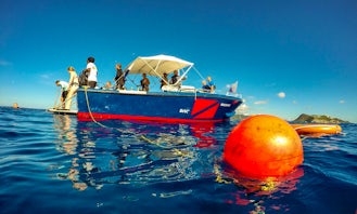 Scuba Diving in Sint Maarten