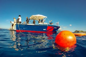 Scuba Diving in Sint Maarten