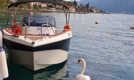 Rent a Barracuda 545 Motor Yacht in Kotor, Opština Kotor