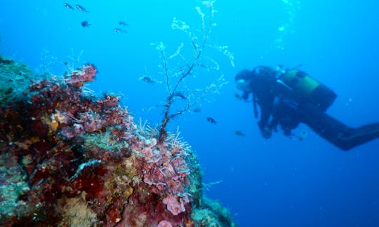 ¡Clases de buceo en aguas cristalinas en el mar Mediterráneo! ¡Entrenamiento y lecciones!