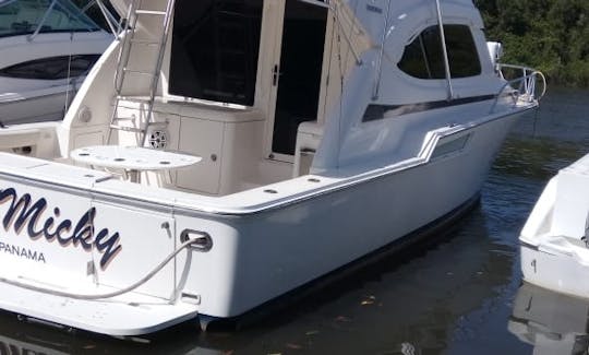 38' Sportfishing Charter for 8 People in Pedregal, Chiriqui Province