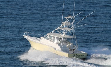 Carta de pesca em alto mar de meio dia nas Ilhas Turks e Caicos “Wahooter”