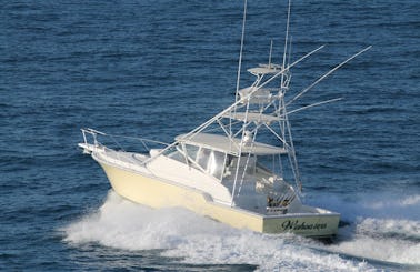 Half Day off Shore Sportsfishing Boat - Wahooter's for Charter in Caicos Islands, Turks and Caicos Islands
