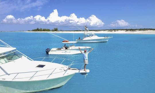 We have three boats to choose from !