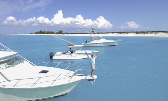 We have three boats to choose from !