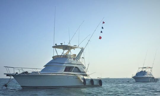 Successful Day tag and released Two Blue Marlin one Sailfish