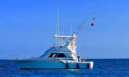 MV WHATEVER IT TAKES .
This is a Bertram 37 with Twin 375 HP Caterpillar Engines rigged for Sport Fishing in Kenya