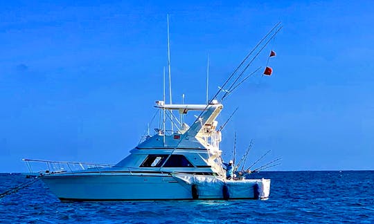 MV WHATEVER IT TAKES .
This is a Bertram 37 with Twin 375 HP Caterpillar Engines rigged for Sport Fishing in Kenya