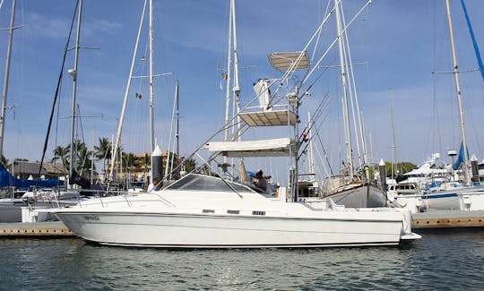 Nuevo Vallarta Fishing Sea Ray 34'