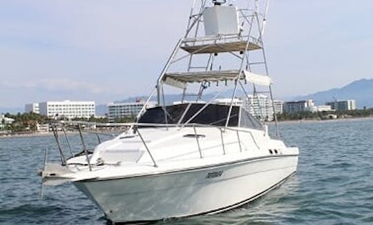 Nuevo Vallarta Fishing Sea Ray 34'