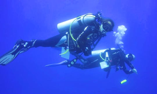 Dive Training with Certified Dive Instructors (CMAS and NASDS) in İstanbul