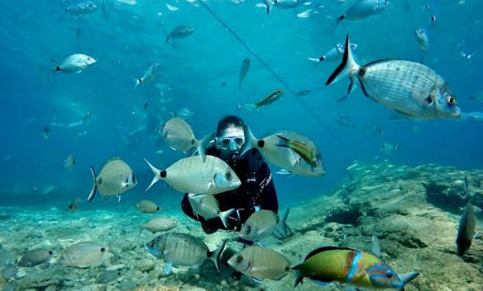 Dive Training with Certified Dive Instructors (CMAS and NASDS) in İstanbul