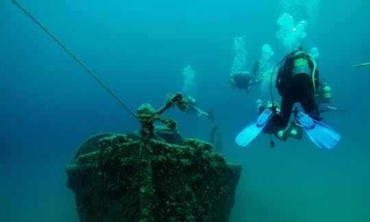 Dive Training with Certified Dive Instructors (CMAS and NASDS) in İstanbul