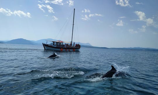 Dolphin Cruises in the Gulf of Amvrakikos from Preveza