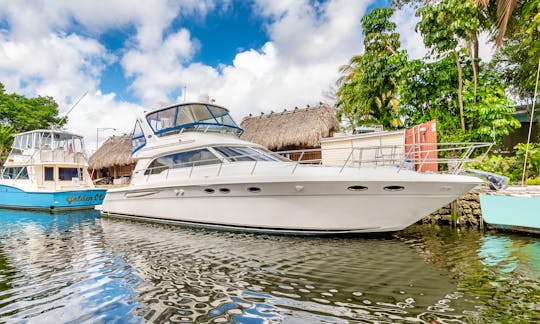 52' Sea Ray Sedan Bridge Motor Yacht Rental In Miami, Florida