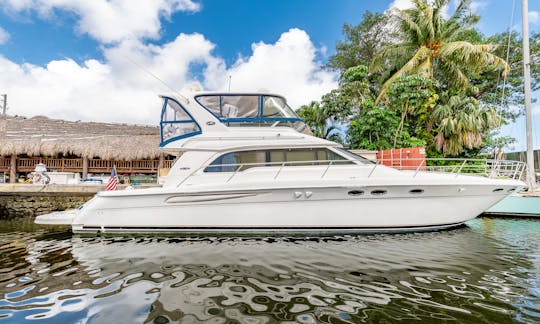 52' Sea Ray Sedan Bridge Motor Yacht Rental In Miami, Florida