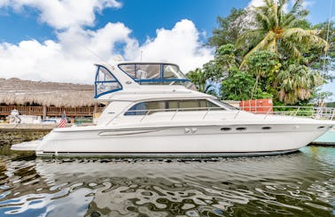 52' Sea Ray Sedan Bridge Motor Yacht Rental In Miami, Florida