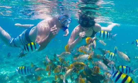 Snorkeling trip in Manggis District, Bali