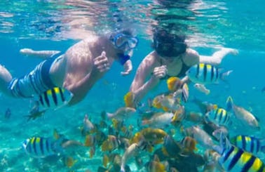 Snorkeling trip in Kecamatan Manggis, Bali