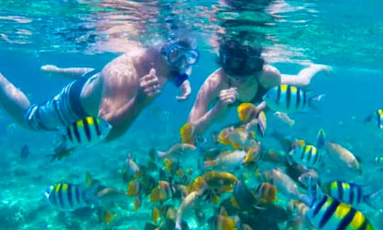Snorkeling trip in Kecamatan Manggis, Bali